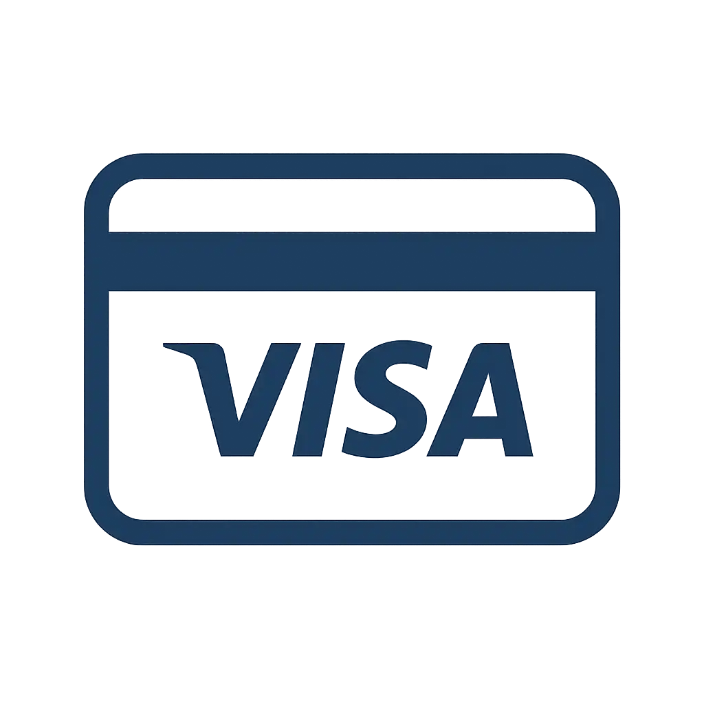 Visa payment icon